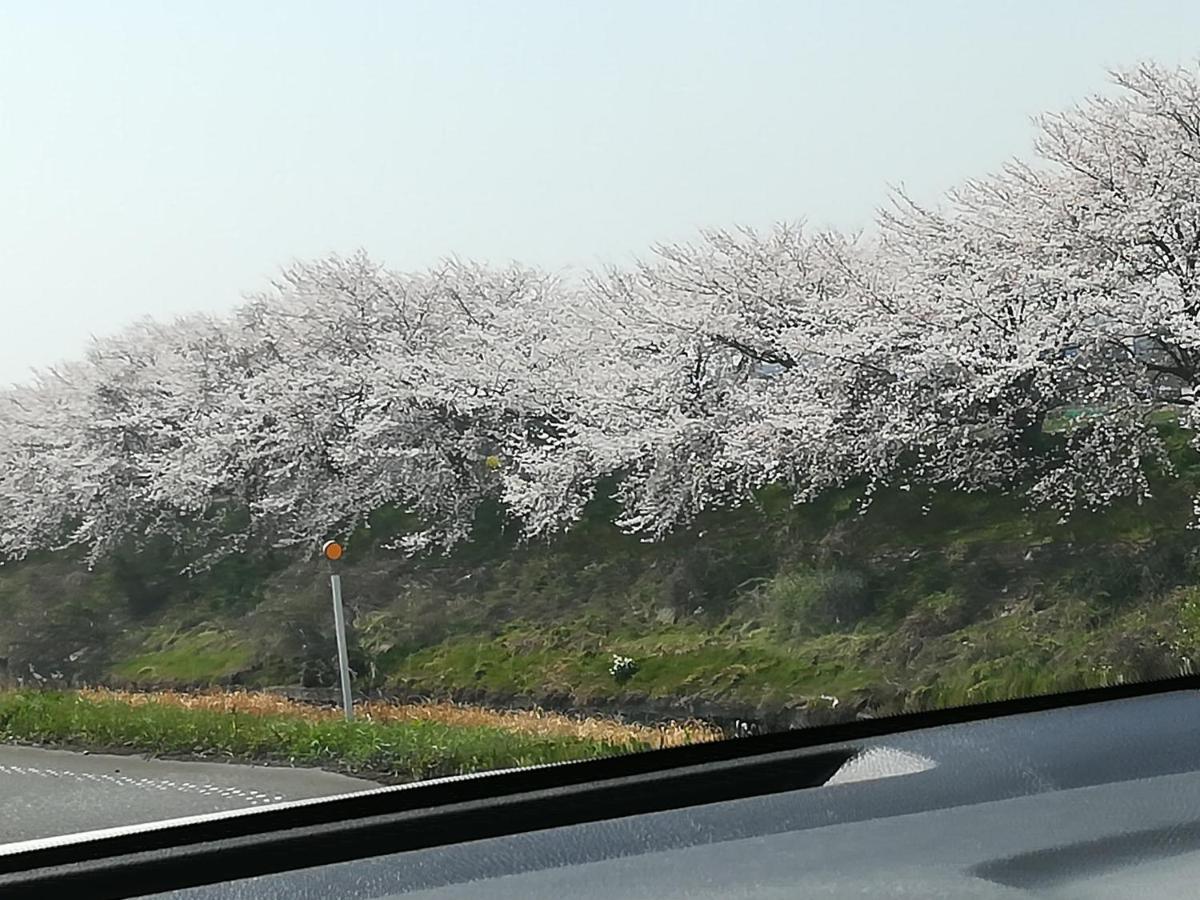 ゲストハウス山本 Gifu Exterior foto